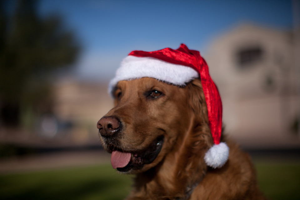 20121224-Picture 021