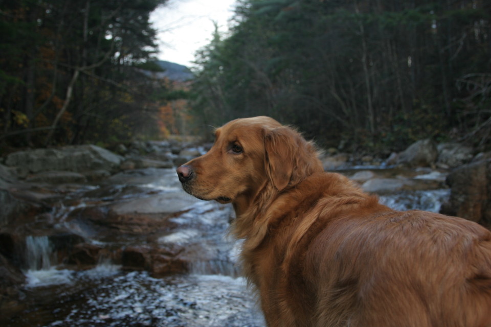Hiking in New England