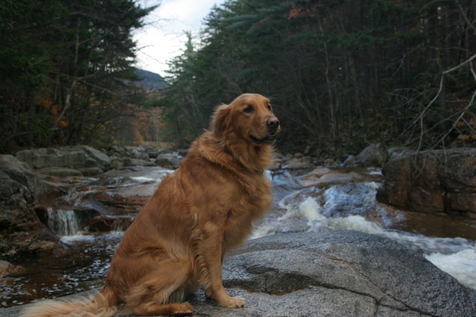 Hiking in New England